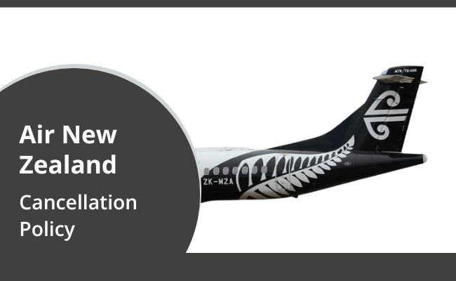 air-new-zealand